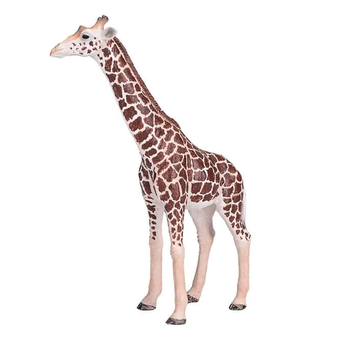 Besttoy Wildlife - Giraffe MĂ€nnlich - Spielfigur 381008 â Bild 2