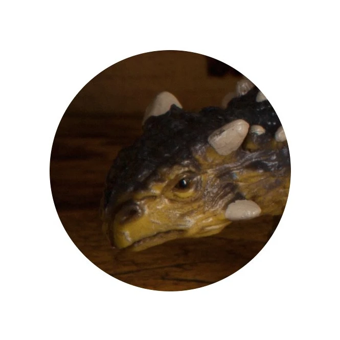 Dinowelt Spielfigur - Saichania – Bild 2