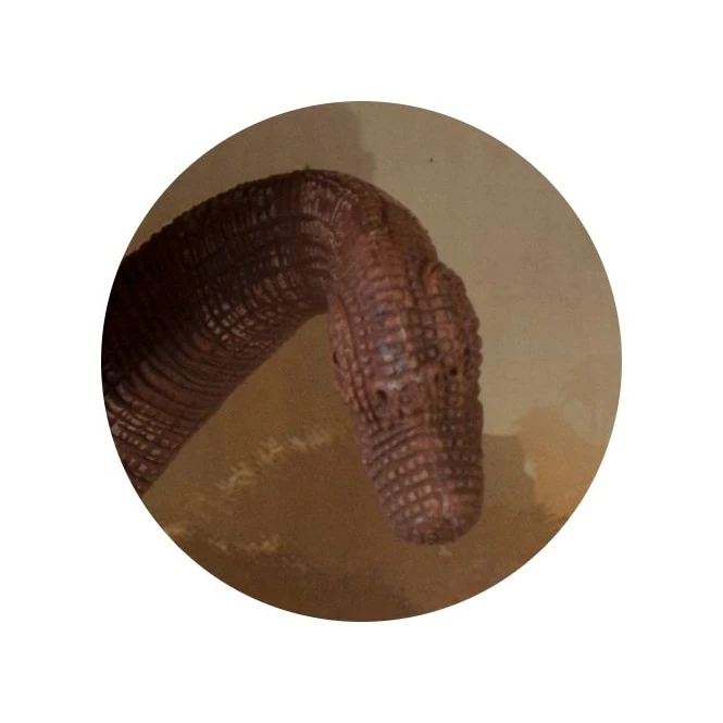 Dinowelt Spielfigur - Brachiosaurus – Bild 2